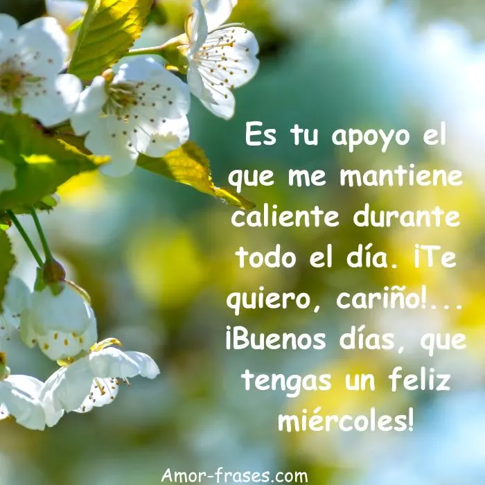 Es tu apoyo el que me mantiene caliente durante todo el día. ¡Te quiero, cariño!... ¡Buenos días, que tengas un feliz miércoles!