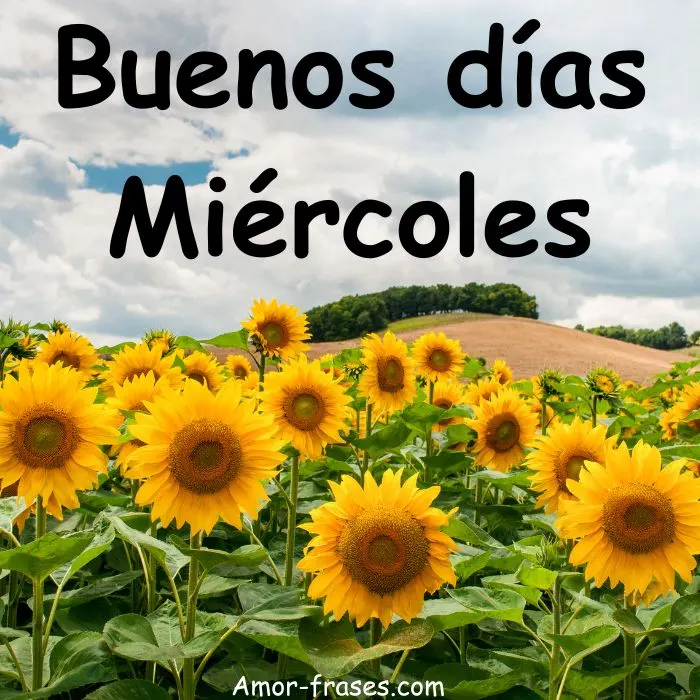 Buenos días Miércoles
