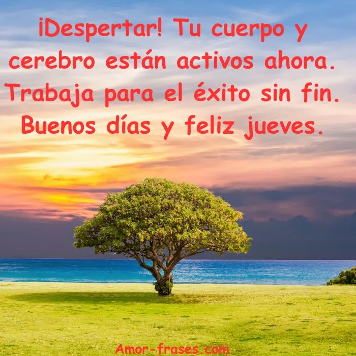 ¡Despertar! Tu cuerpo y cerebro están activos ahora. Trabaja para el éxito sin fin. Buenos días y feliz jueves.