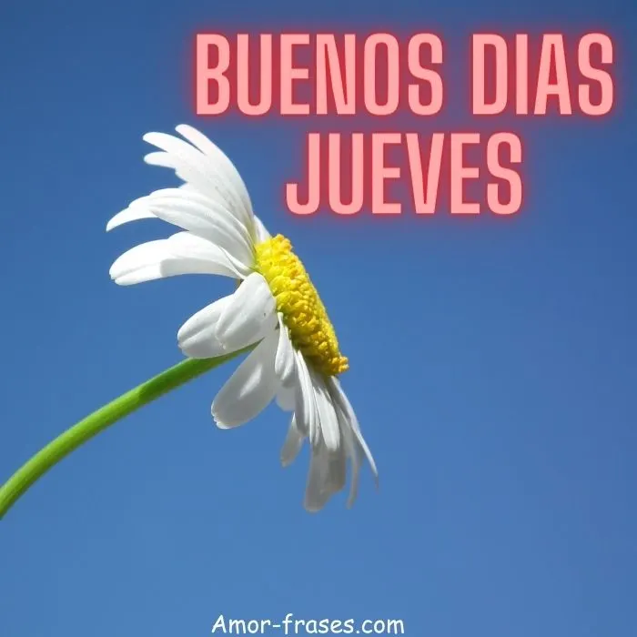 Buenos dias jueves