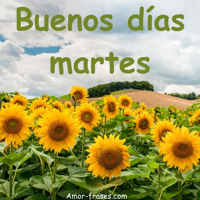 Buenos días martes