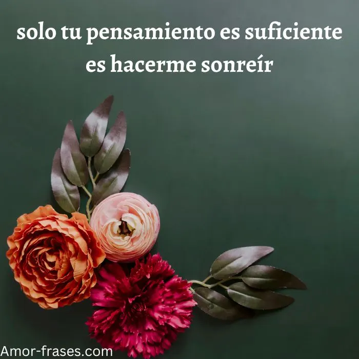 frases de amor con imagenes fotos para descargar frases de amor con imagenes fotos para descargar