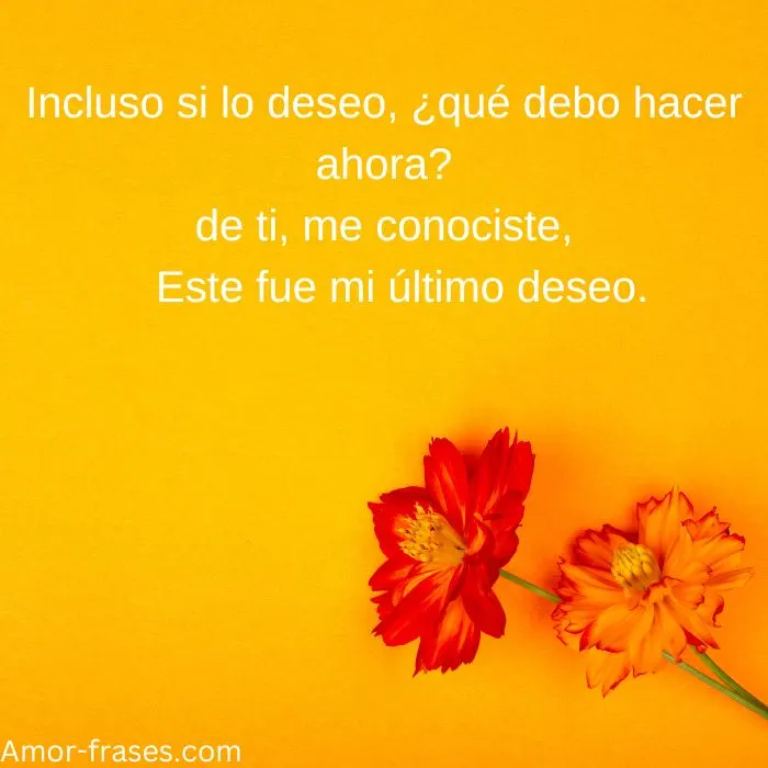 frases de amor con imagenes fotos para descargar frases de amor con imagenes fotos para descargar