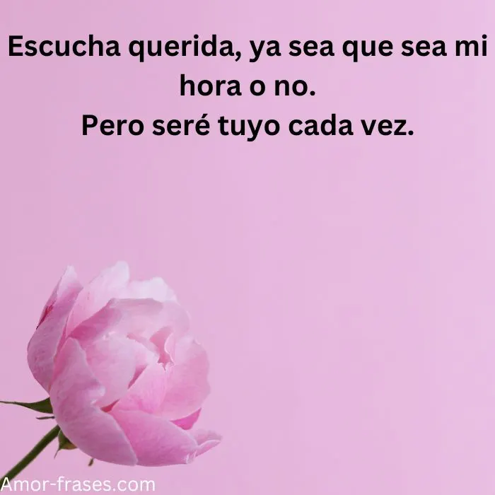 frases de amor con imagenes fotos para descargar frases de amor con imagenes fotos para descargar