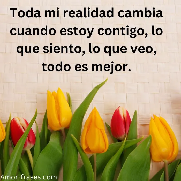 frases de amor con imagenes fotos para descargar frases de amor con imagenes fotos para descargar