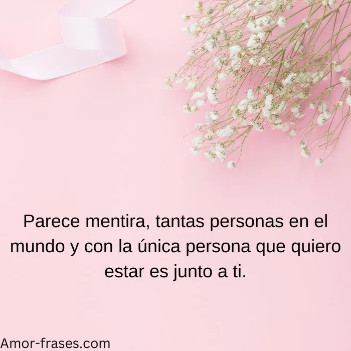 frases de amor con imagenes fotos para descargar frases de amor con imagenes fotos para descargar