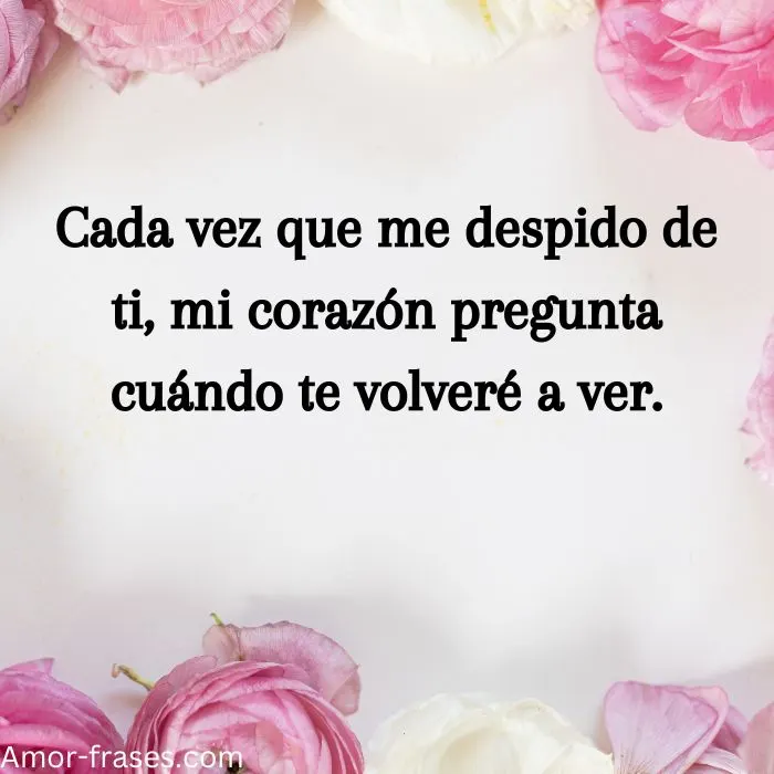 frases de amor con imagenes fotos para descargar frases de amor con imagenes fotos para descargar