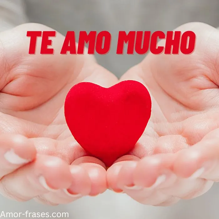 TE Amo Mucho imagenes fotos para descargar TE Amo Mucho foto