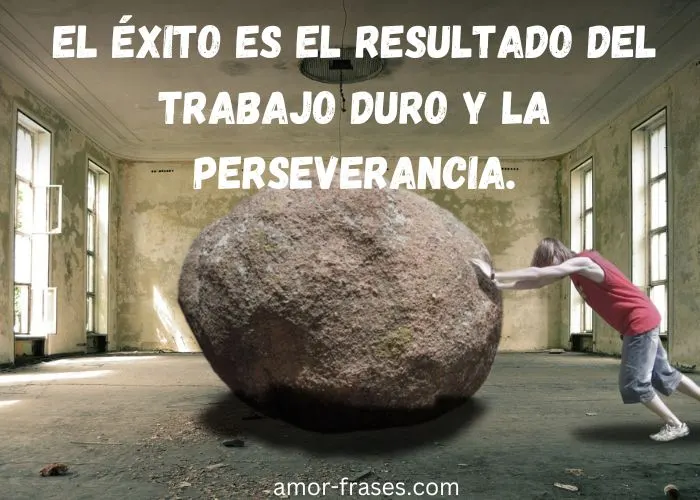 El éxito es el resultado del trabajo duro y la perseverancia. Frases de la vida cortas imágenes fotos para compartir 