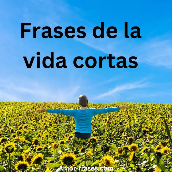 Frases de la vida cortas