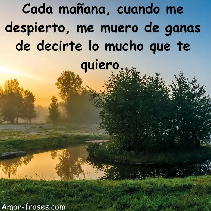 Frases imágenes de buenos días