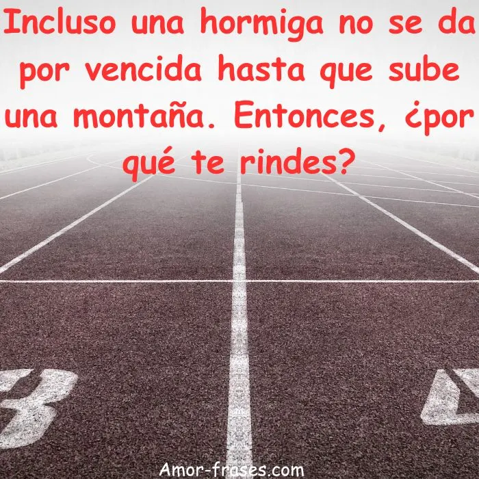 buenos dias feliz martes