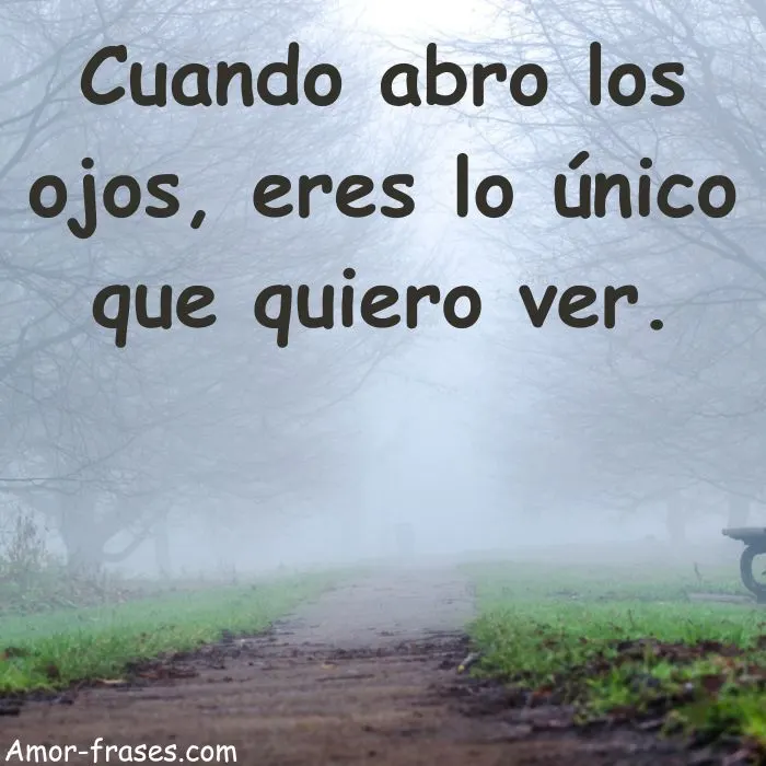 frases de buenos dias con imagenes fotos