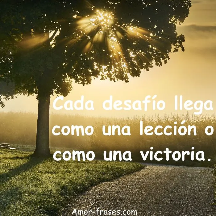 feliz días
