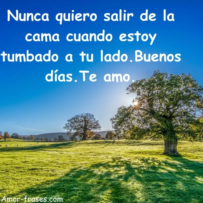 Buenos dias frases