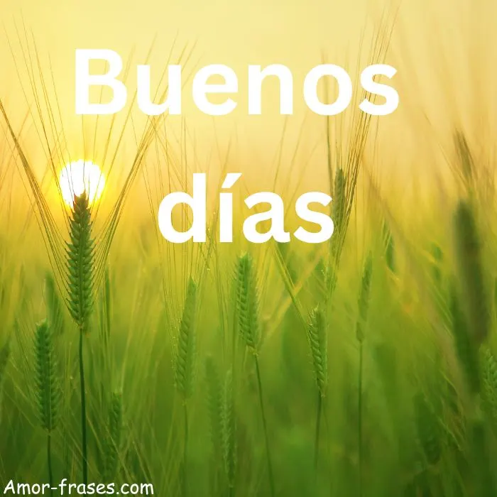 frases de buenos dias con imagenes fotos