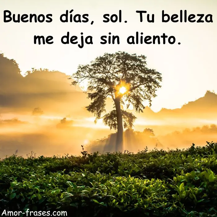 frases de buenos dias con imagenes fotos