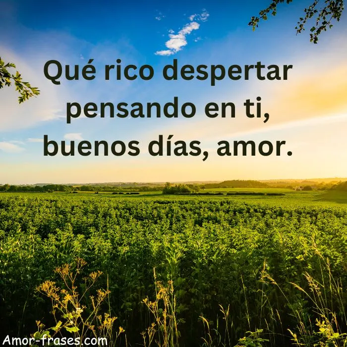 Imagen de buenos días