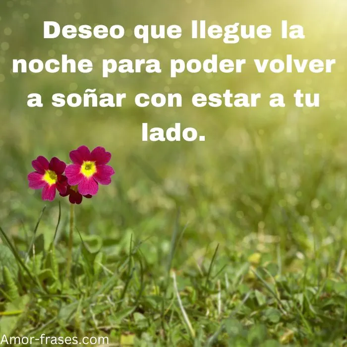 frases de amor con imagenes fotos para descargar largas frases de amor foto imágenes