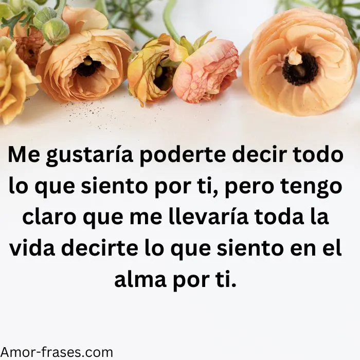frases de amor con imagenes fotos para descargar largas frases de amor foto imágenes