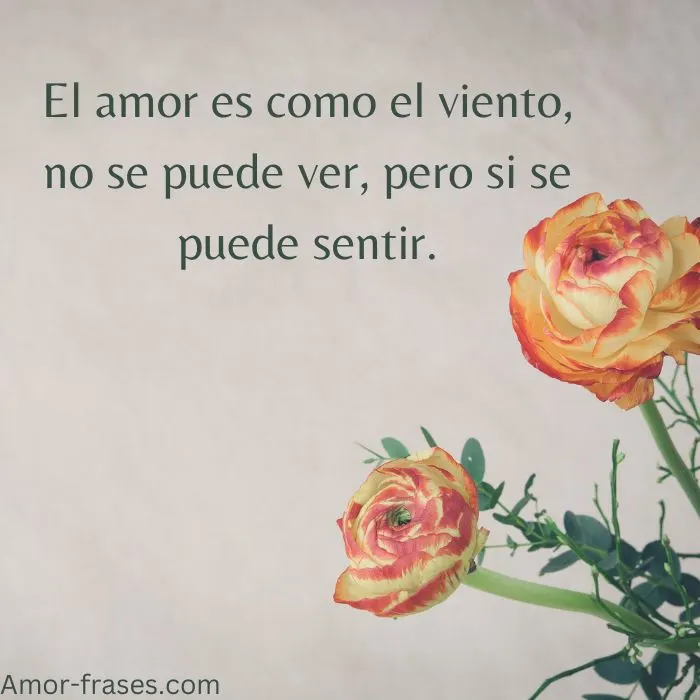 imagenes de amor,fotos, imagen mensajes de amor largas frases de amor foto imágenes