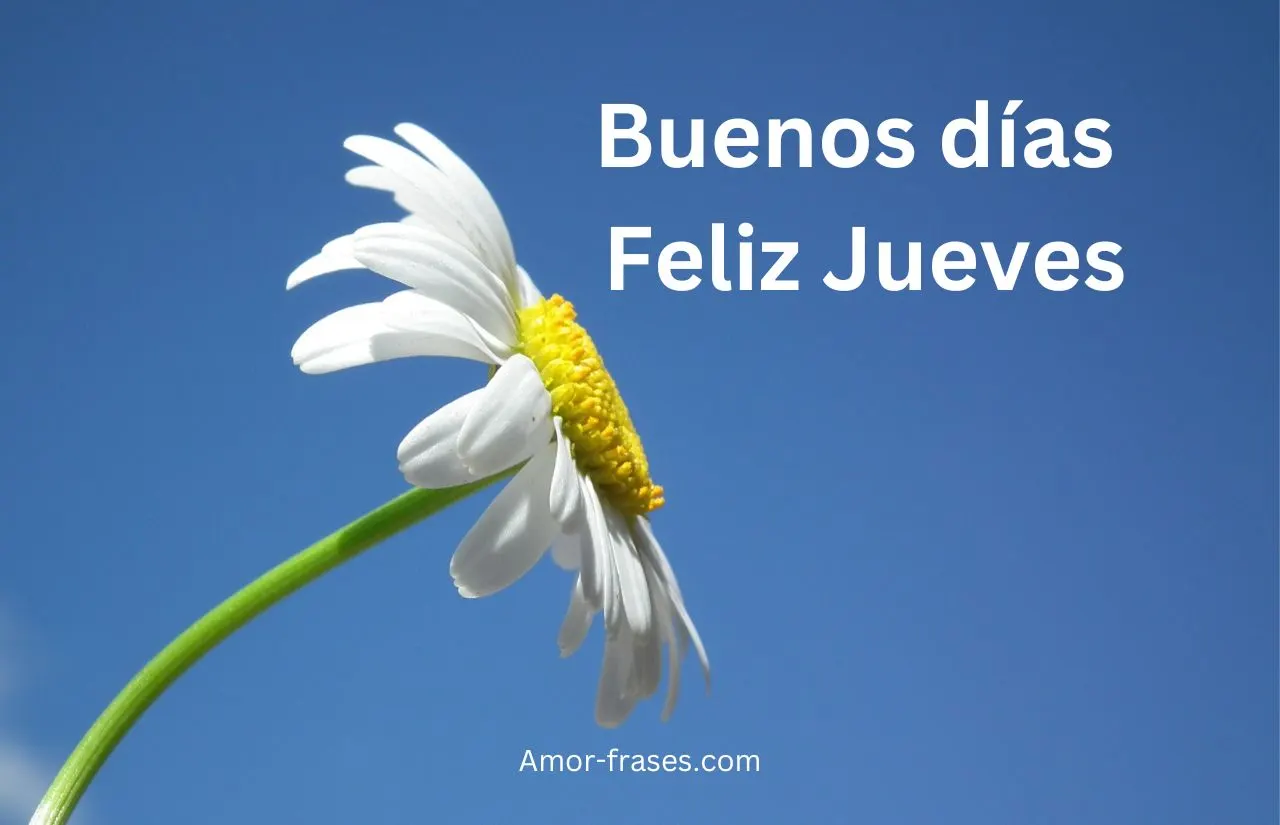 Buenos días Feliz Jueves