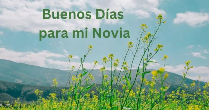Buenos Días para mi Novia