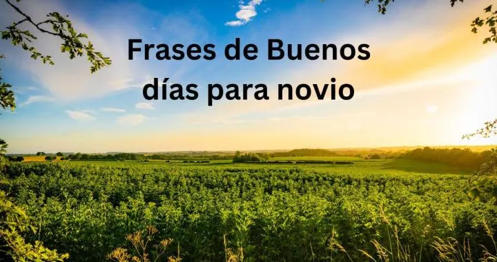 Frases de Buenos días para novio