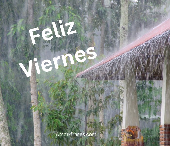 Imágenes y foto de feliz viernes lluvioso buenos dias