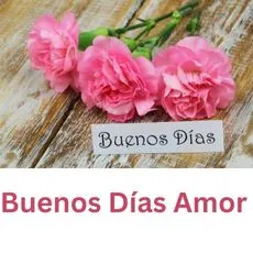 Amor