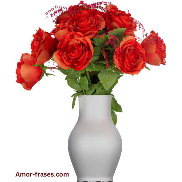 hermosas rosas rojas imagenes de ramos de rosas fotos fondos de pantalla para descargar y compartir