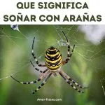 Que Significa Soñar Con Arañas