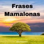 Frases Mamalonas