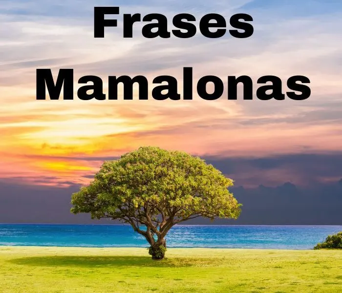 Frases Mamalonas